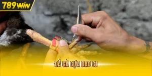 789WIN Gdcbouw🎖️ Trang Chủ Chính Thức 789WIN.COM 2026 - Kovix9