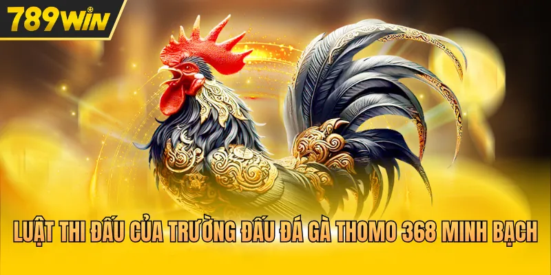 Săn Thưởng Cùng Đá Gà Thomo 368 Trận Tranh Tài Nảy Lửa - Kovix9