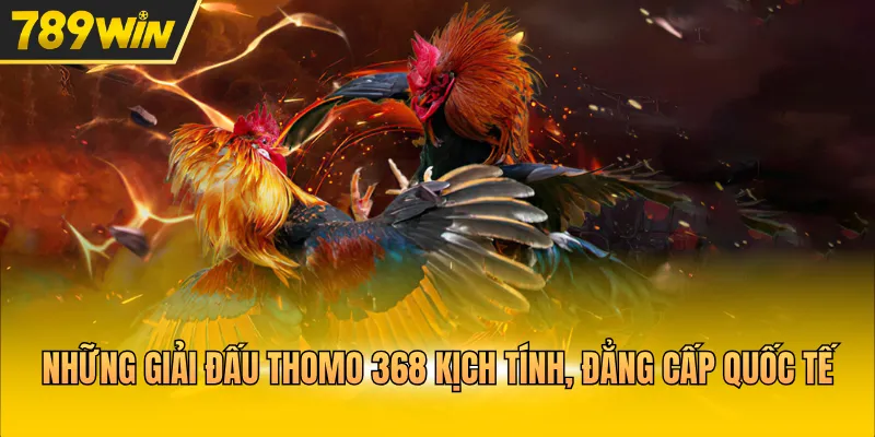 Săn Thưởng Cùng Đá Gà Thomo 368 Trận Tranh Tài Nảy Lửa - Kovix9