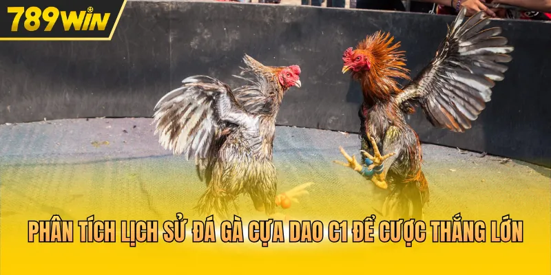 Đá Gà Cựa Dao C1 Đấu Trường Thư Hùng Nghẹt Thở Mỗi Ngày - Kovix9
