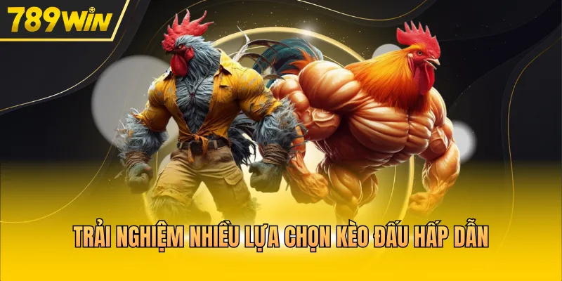 Đá Gà 789win – Đấu Trường Giải Trí Đẳng Cấp Quốc Tế  - Kovix9