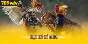 Tin Tức 789WIN | Cập Nhật Khuyến Mãi & Sự Kiện Mới Nhất 2026 - Kovix9
