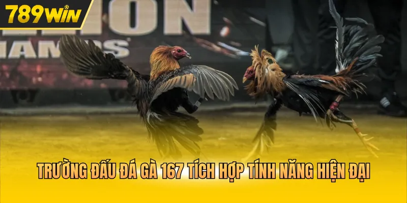 Trực Tiếp Đá Gà 167 Theo Dõi Màn Tranh Tài Kịch Tính - Kovix9